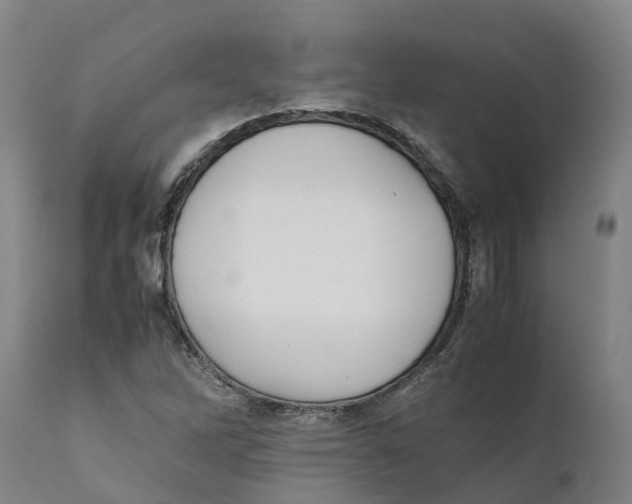 X0000111631262200908141334