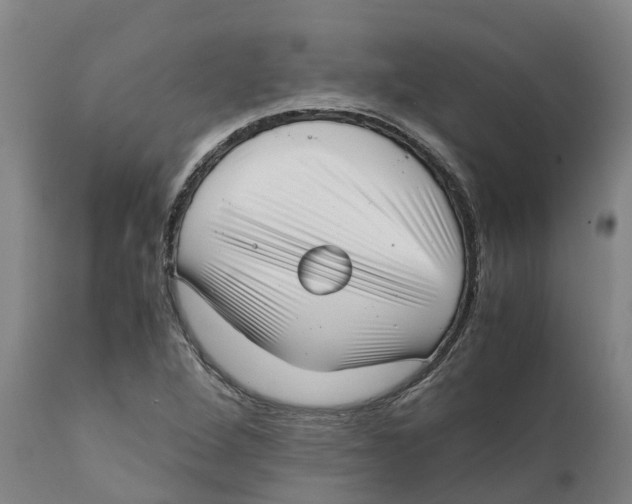 X0000111631264200908141334