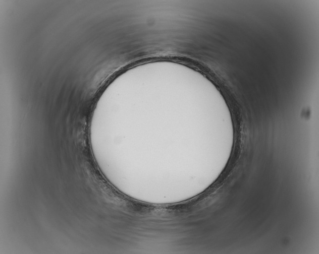 X0000111631265200908141334