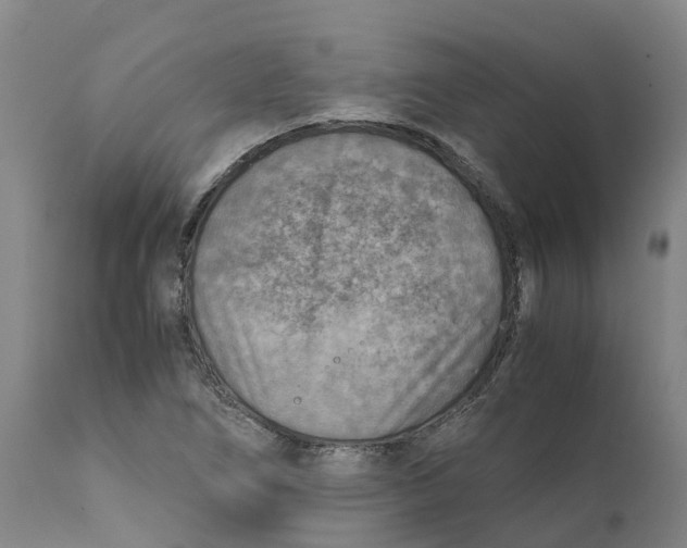 X0000111631266200908141334