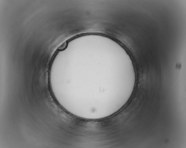 X0000111631268200908141334