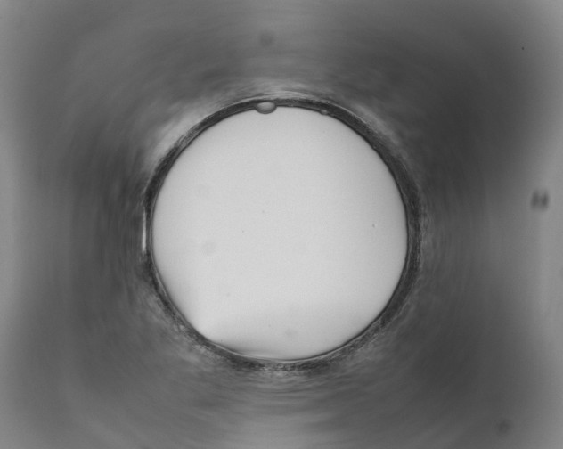 X0000111631269200908141334