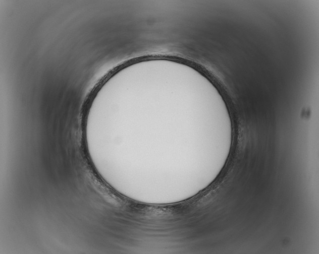X0000111631270200908141334