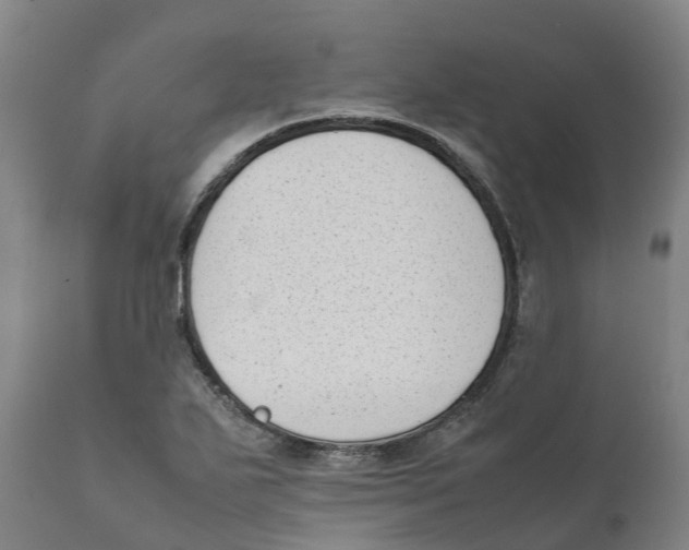 X0000111631271200908141334