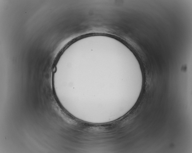 X0000111631272200908141334