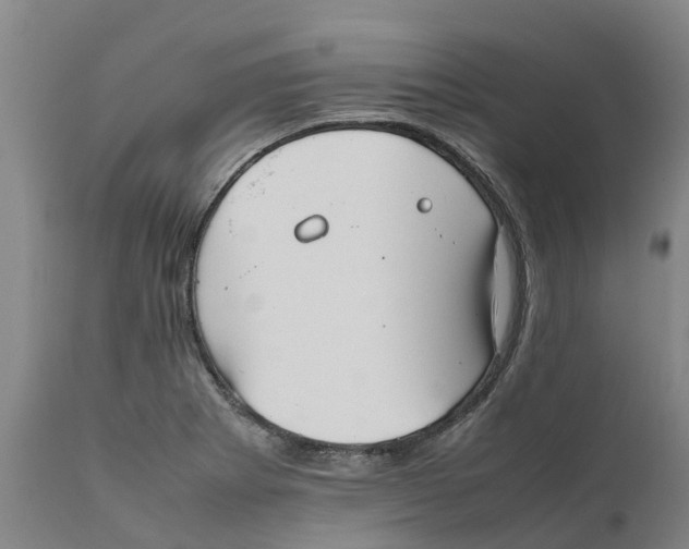 X0000111631273200908141334
