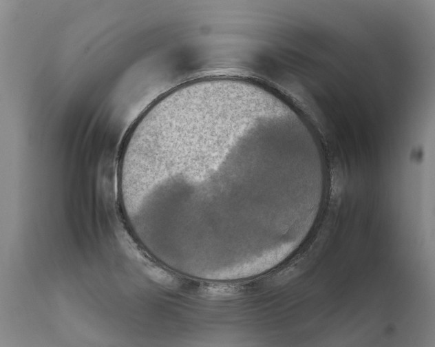 X0000111631274200908141334