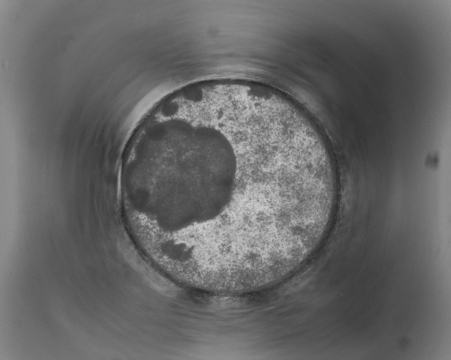 X0000111631275200908141334