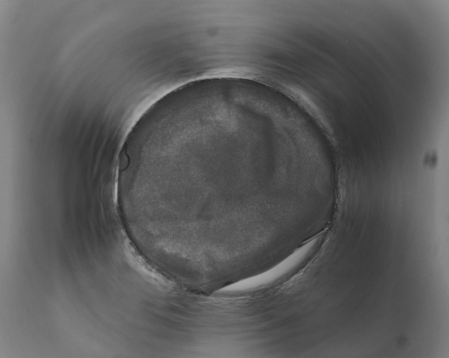 X0000111631276200908141334