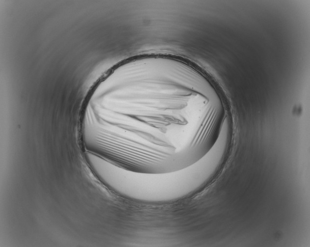 X0000111631277200908141334