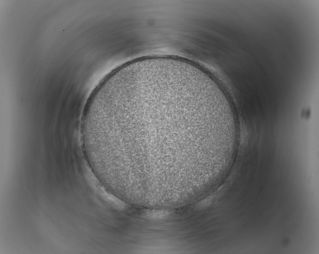 X0000111631278200908141334