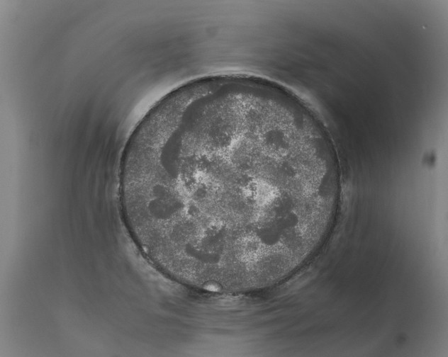 X0000111631279200908141334