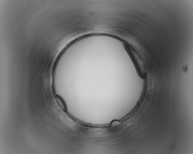 X0000111631280200908141334