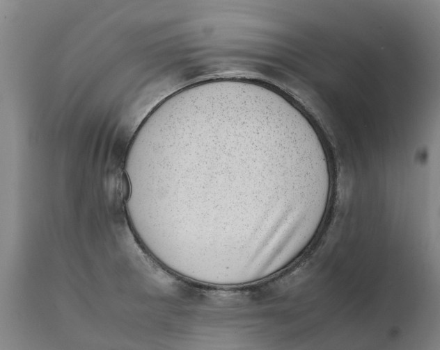 X0000111631281200908141334