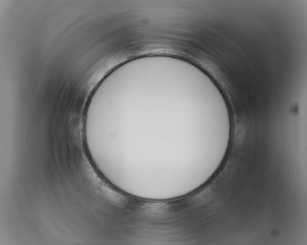 X0000111631282200908141334