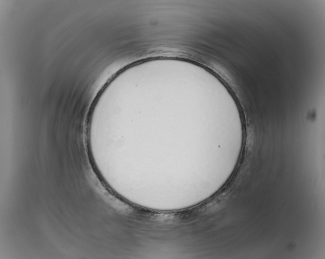 X0000111631283200908141334