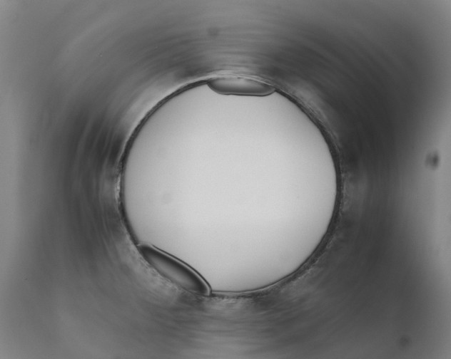 X0000111631284200908141334