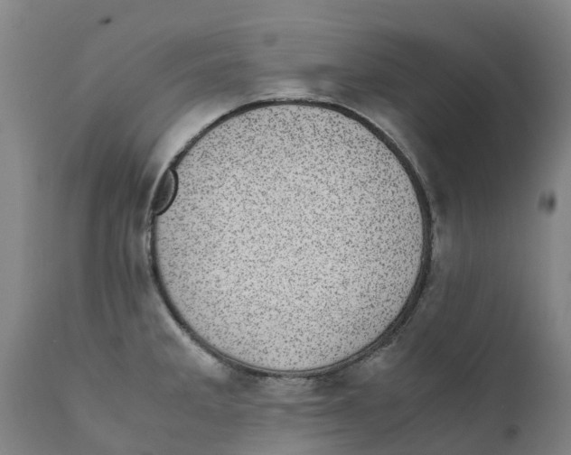 X0000111631285200908141334