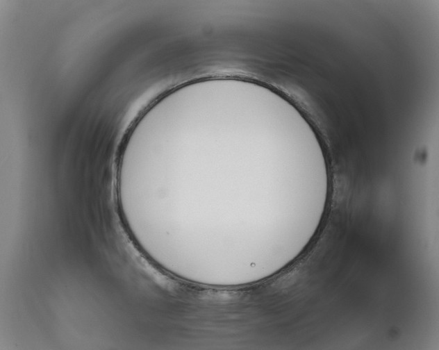 X0000111631286200908141334