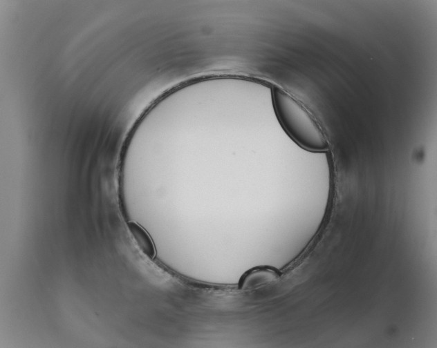X0000111631288200908141334