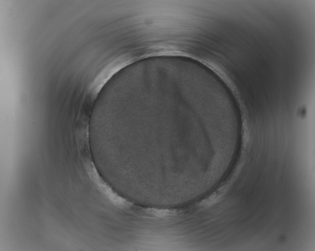X0000111631289200908141334