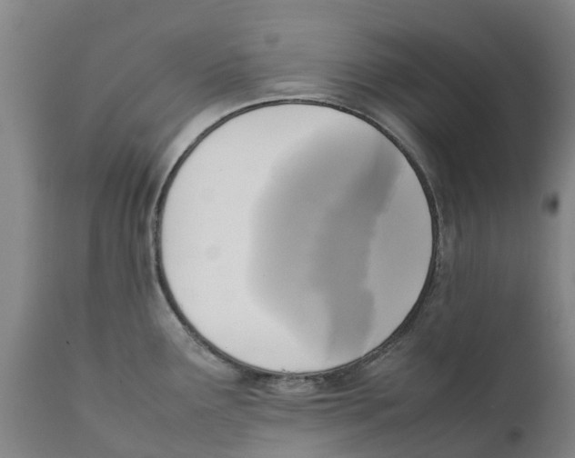 X0000111631291200908141334