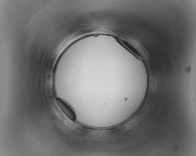 X0000111631292200908141334