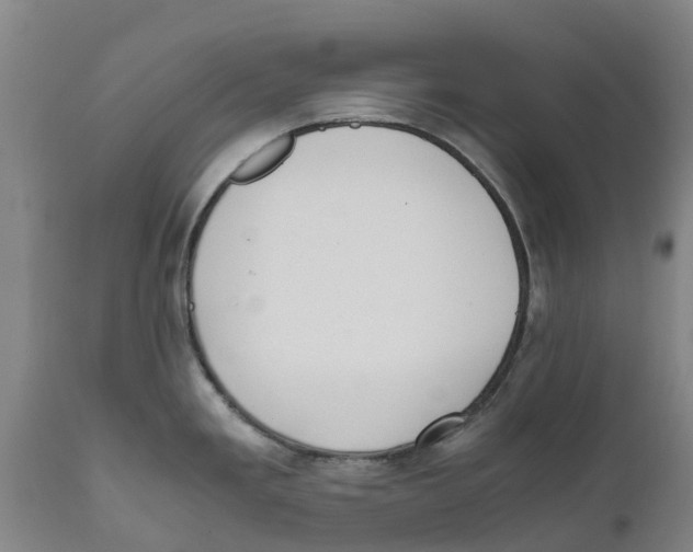 X0000111631293200908141334