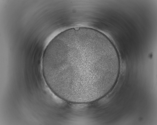 X0000111631294200908141334