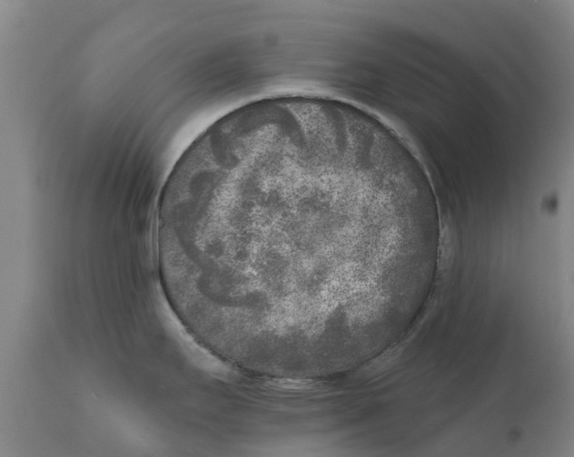 X0000111631295200908141334