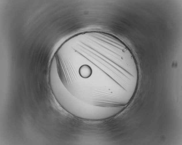 X0000111631296200908141334