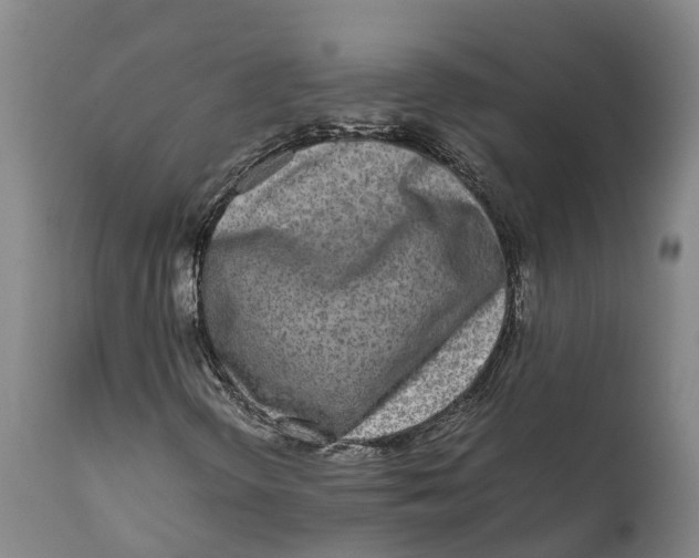 X0000111631298200908141333