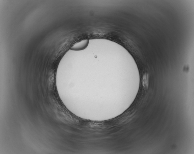 X0000111631299200908141333