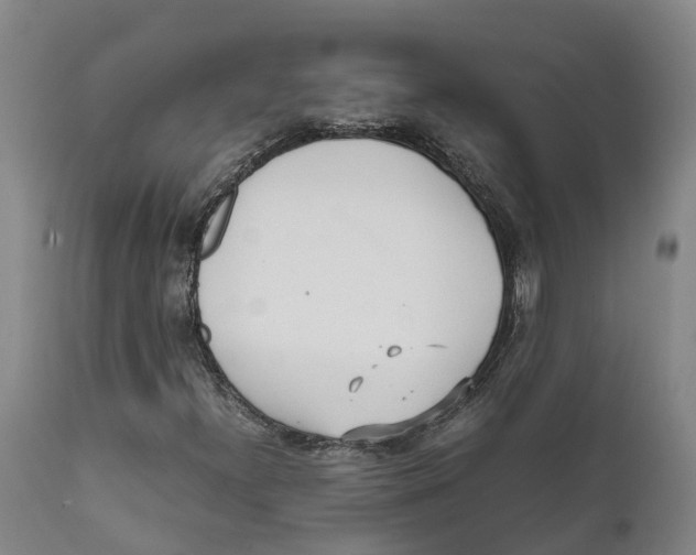 X0000111631300200908141333
