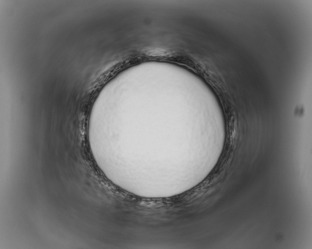 X0000111631301200908141333