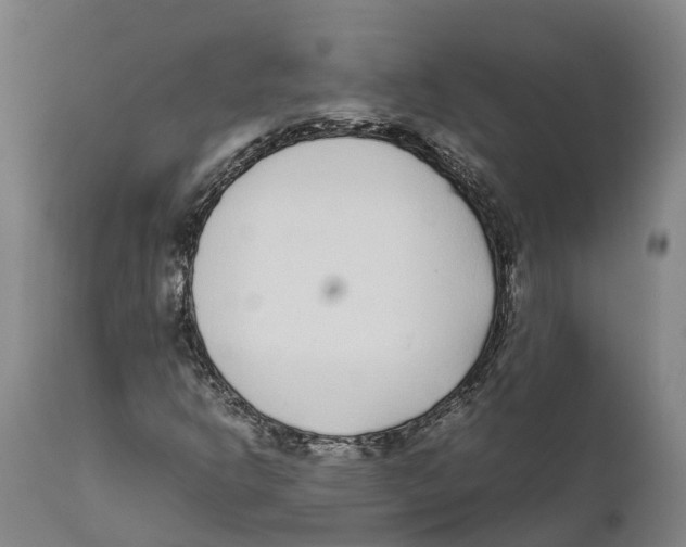 X0000111631302200908141333