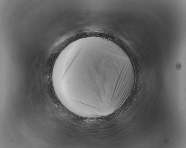 X0000111631303200908141333