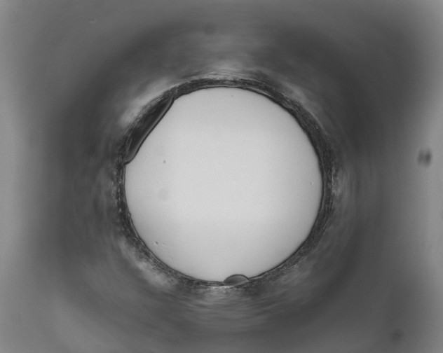 X0000111631304200908141333