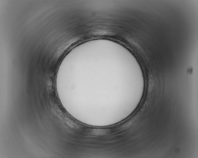 X0000111631305200908141333