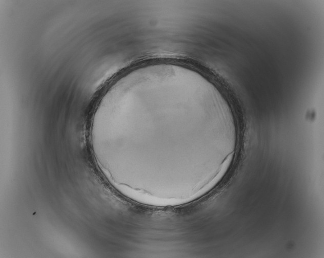 X0000111631306200908141333