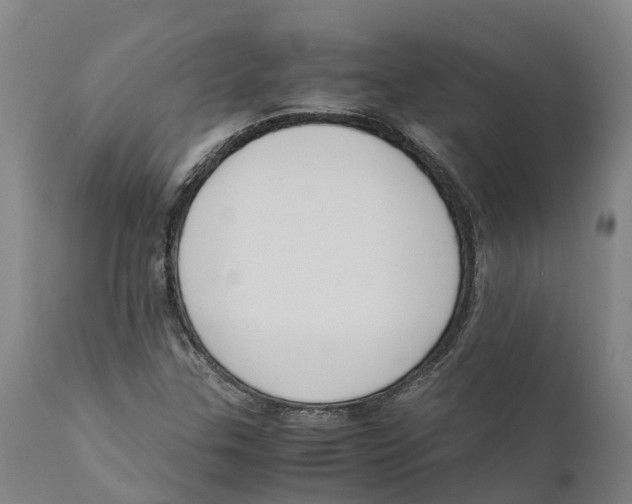 X0000111631307200908141333