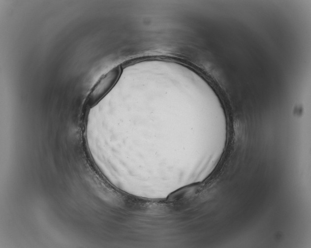 X0000111631308200908141333