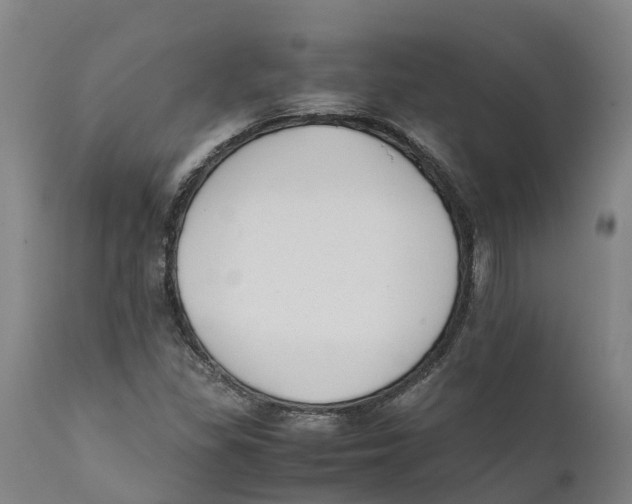 X0000111631309200908141333