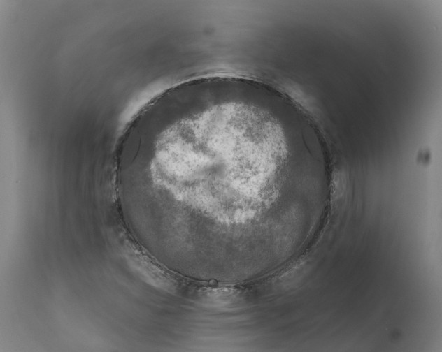 X0000111631310200908141333