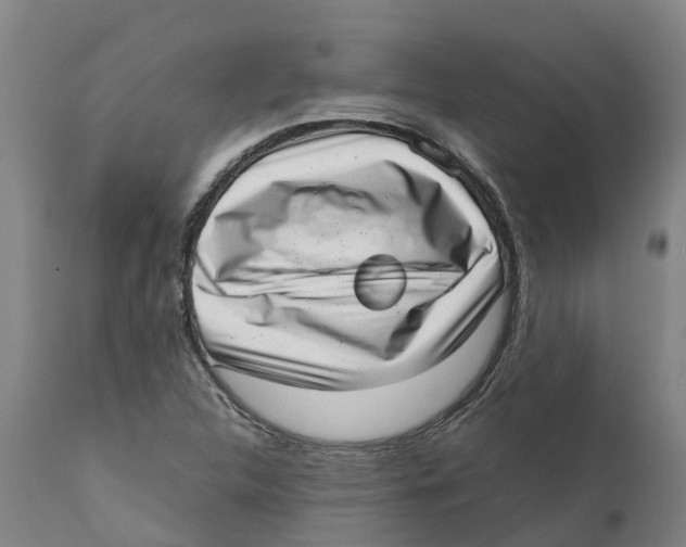 X0000111631312200908141333