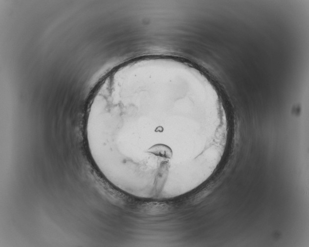 X0000111631314200908141333
