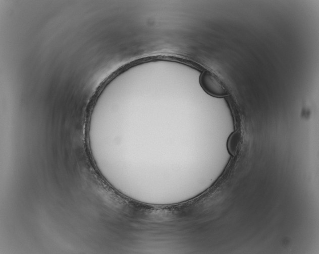 X0000111631316200908141333