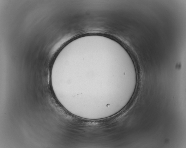 X0000111631317200908141333