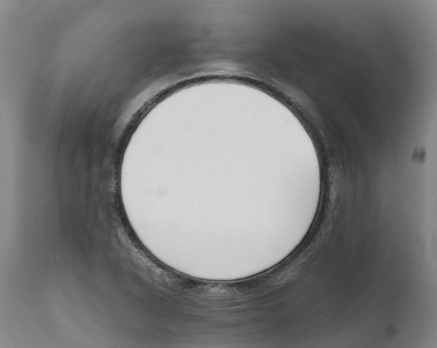 X0000111631318200908141333
