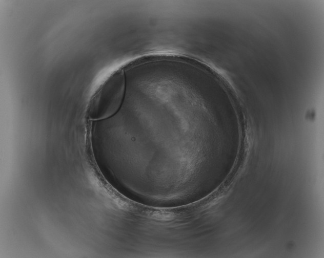 X0000111631319200908141334